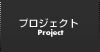プロジェクト プロジェクト